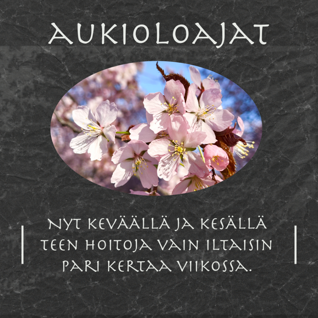 kesän aukioloajat